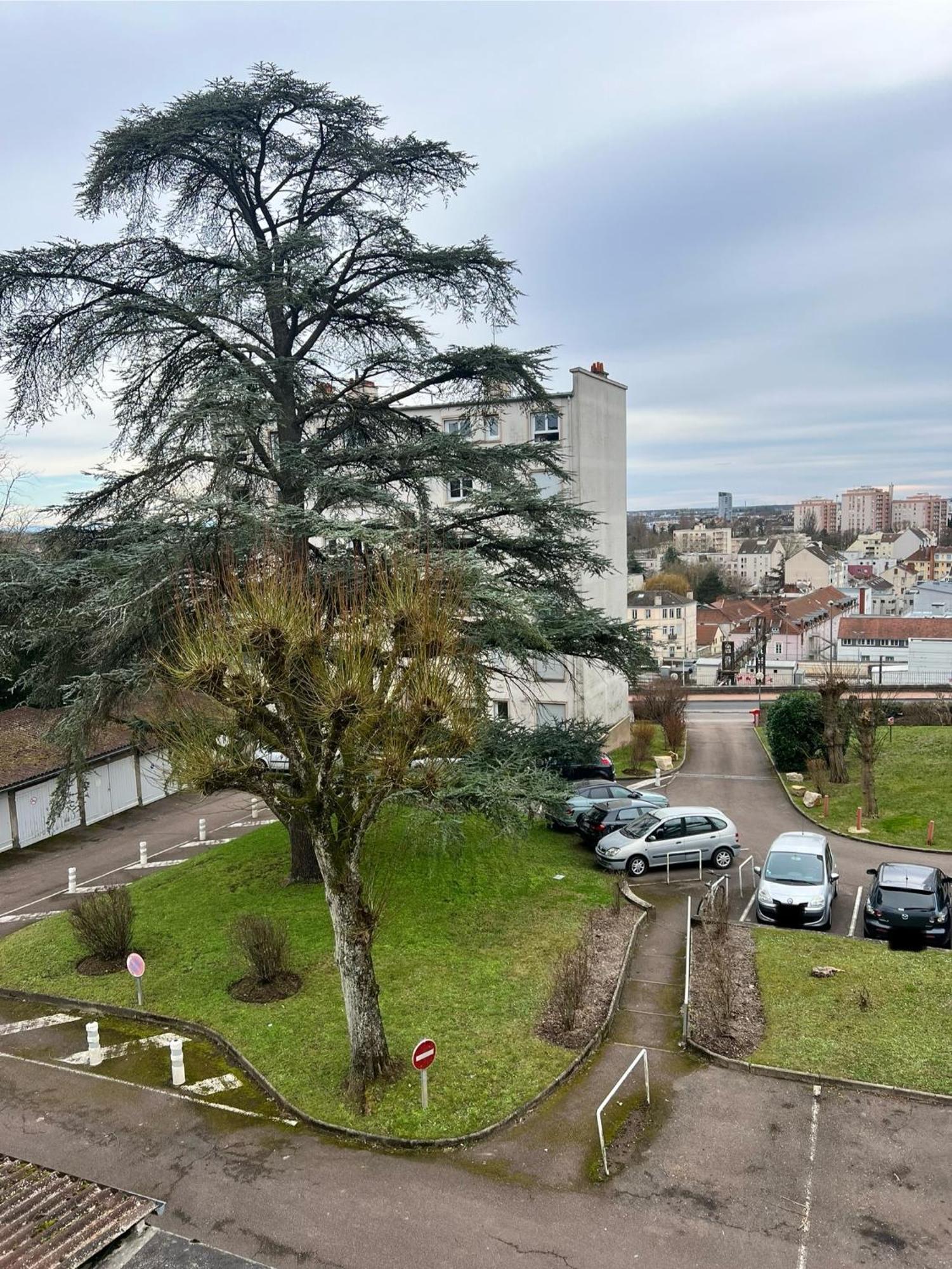 Le Bellevue - T3 - Gare & Les Jardins Darcy - Parking Free Apartment Дижон Екстериор снимка